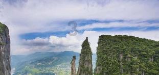 丛林森林逃生